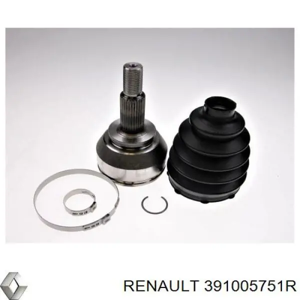 391005751R Renault (RVI)