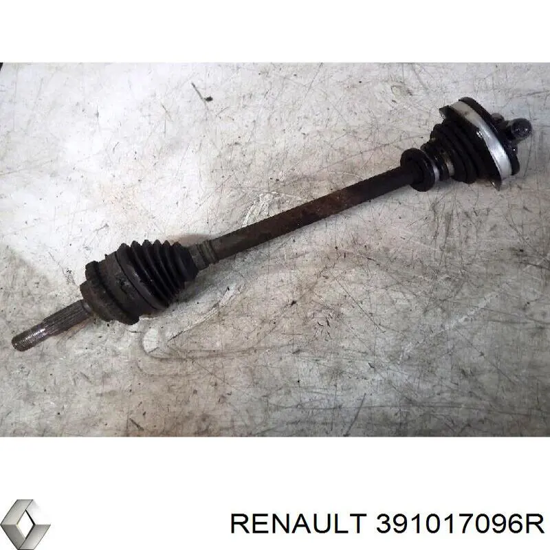 Semieje delantero izquierdo Renault (RVI) 391017096R precio, desde 69,42 EUR