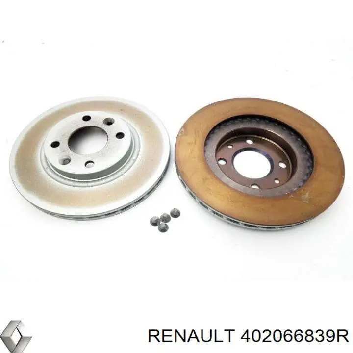 402066839R Renault (RVI) disco de freno delantero