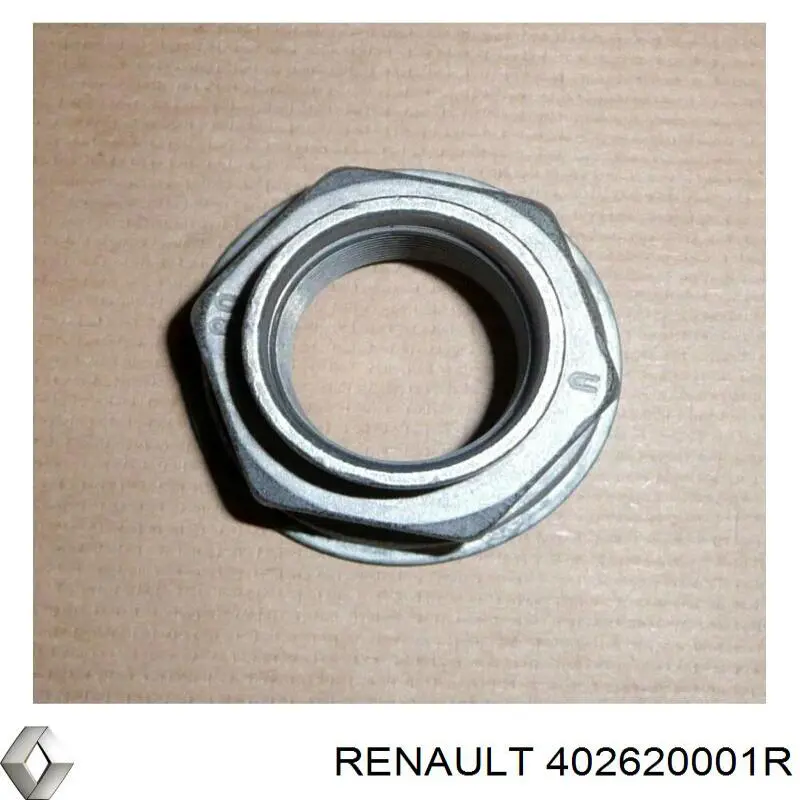 402620001R Renault (RVI)