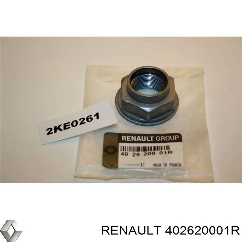  Renault (RVI) 402620001R precio, desde 17,19 EUR