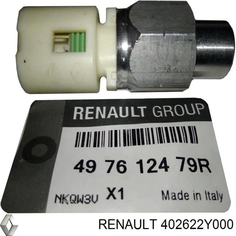 402622Y000 Renault (RVI) tuerca, cubo de rueda trasero