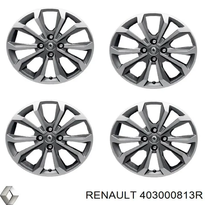 Rines Renault (RVI) 403000813R precio, desde 198,85 EUR