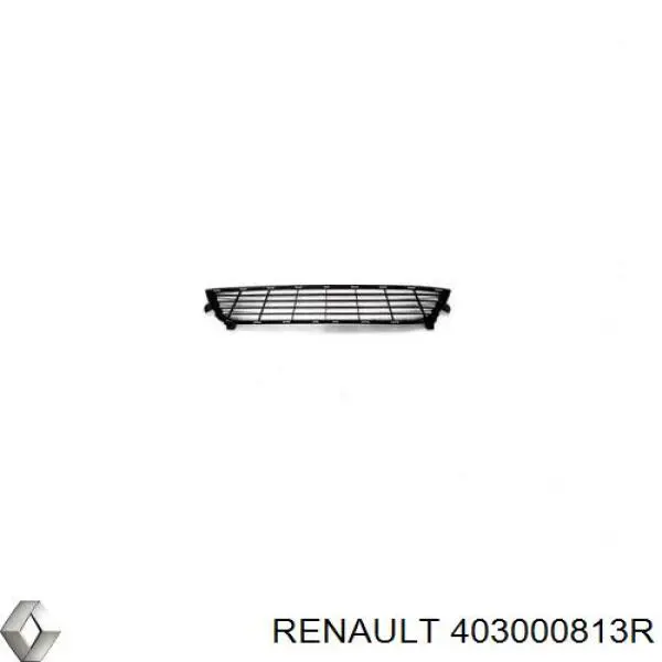 403000813R Renault (RVI) Aros