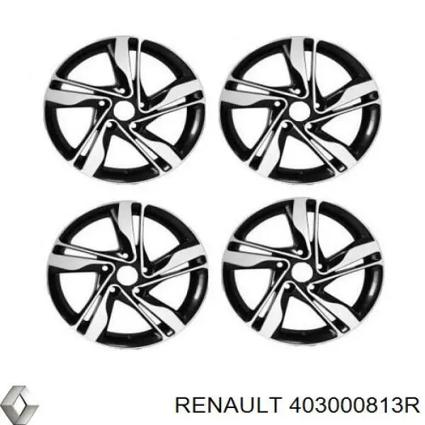 403000813R Renault (RVI) Aros