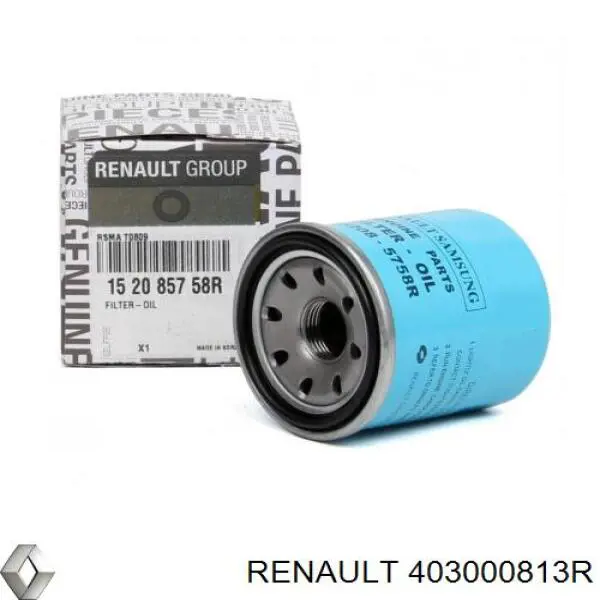 403000813R Renault (RVI) llantas de aleacion, (aleacion de titanio)