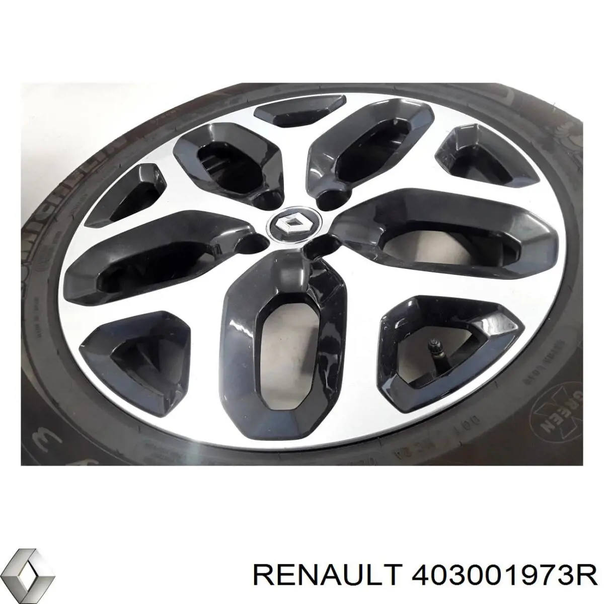  403001973R Renault (RVI)