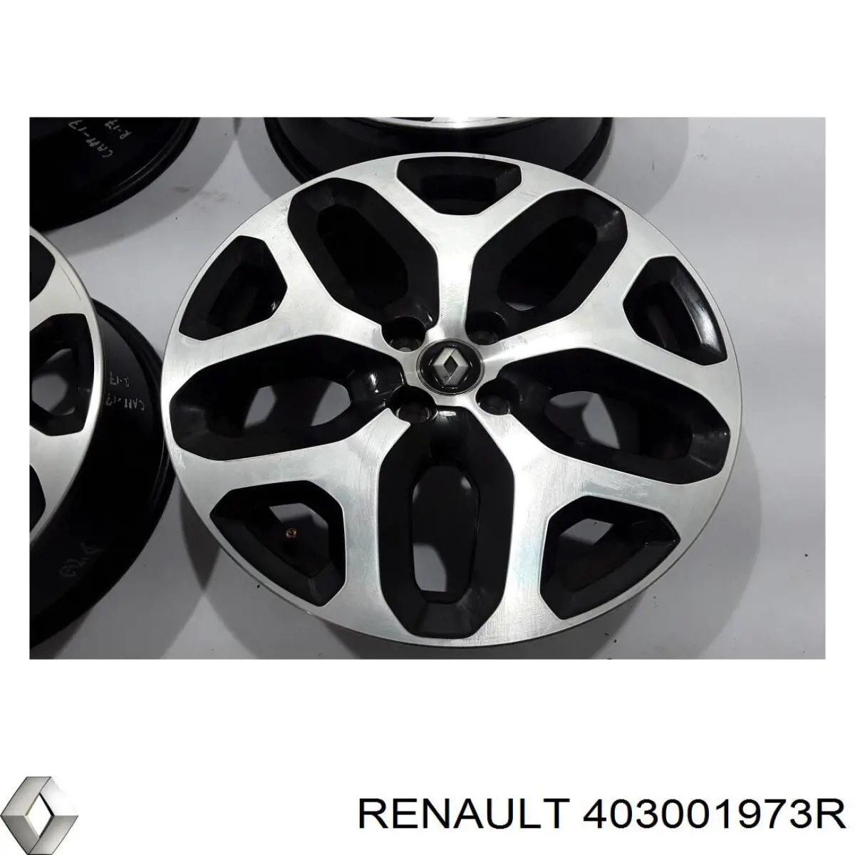 403001973R Renault (RVI) 