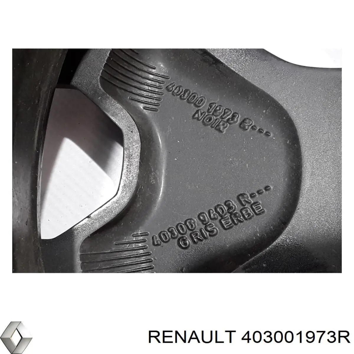  Renault (RVI) 403001973R