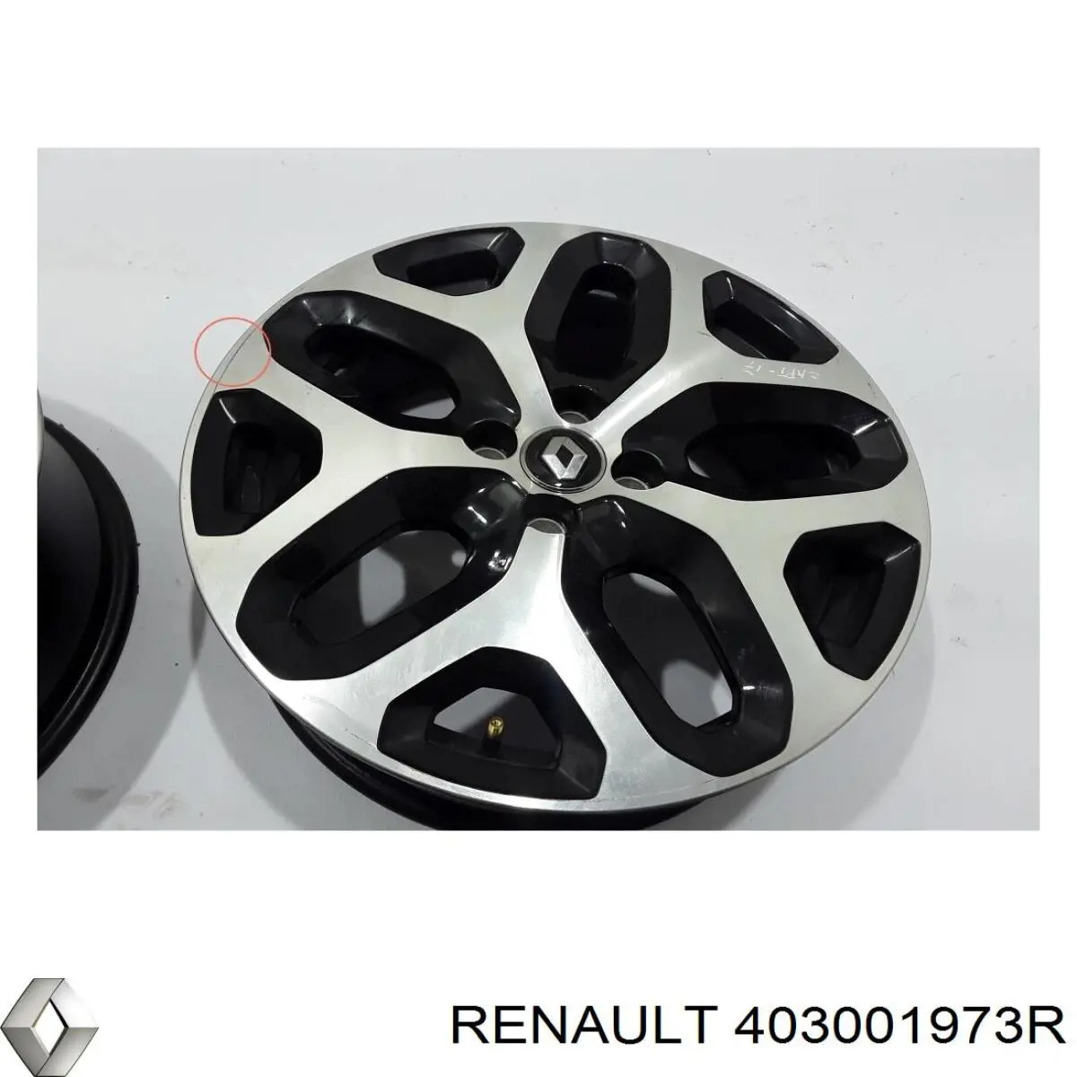  Renault (RVI) 403001973R precio, desde 219,84 EUR