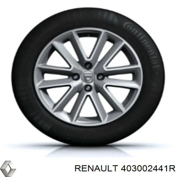 403002441R Renault (RVI) 