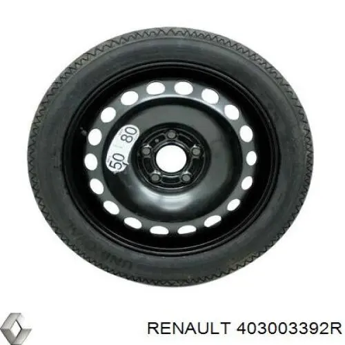 403003392R Renault (RVI)