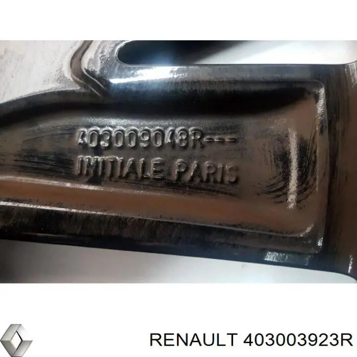 403003923R Renault (RVI) 