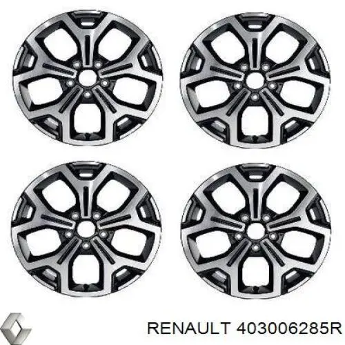Rines Renault (RVI) 403006285R precio, desde 265,72 EUR