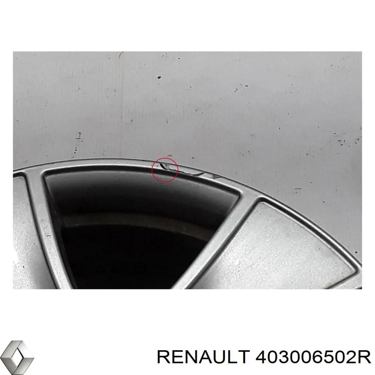 403006502R Renault (RVI) Aros