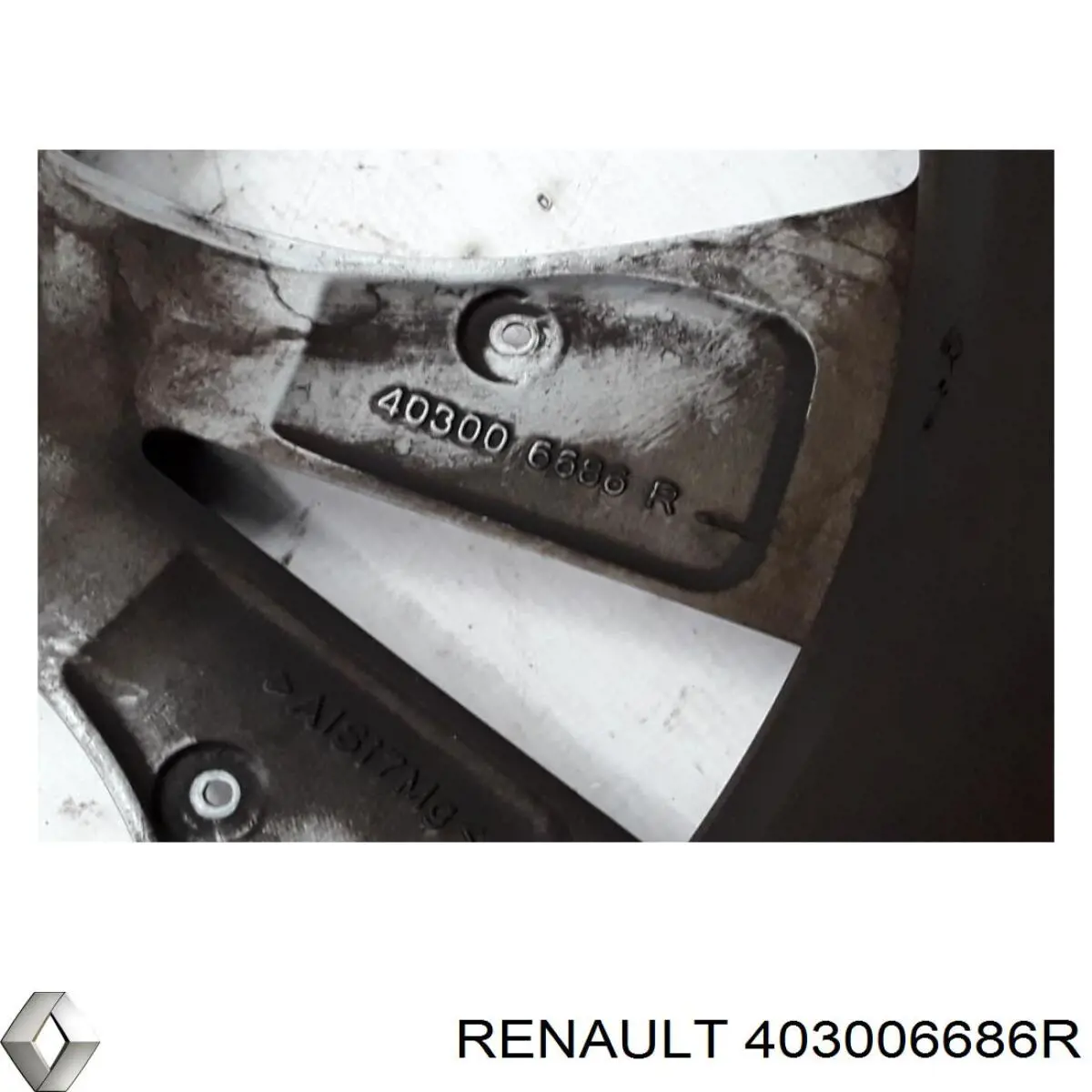 403006686R Renault (RVI)