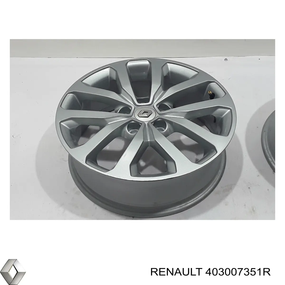  403007351R Renault (RVI)