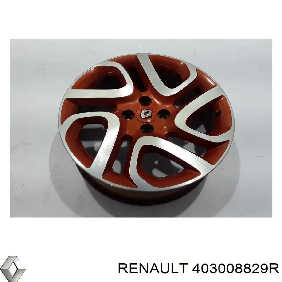  403008829R Renault (RVI)
