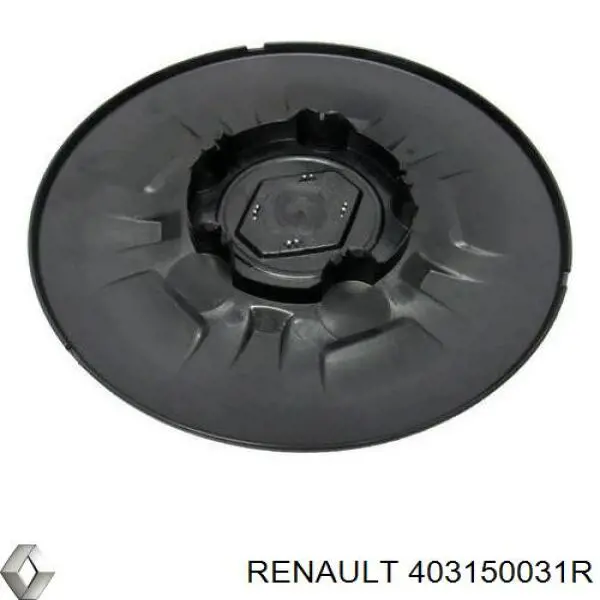 Tapacubos 403150031R Renault (RVI)