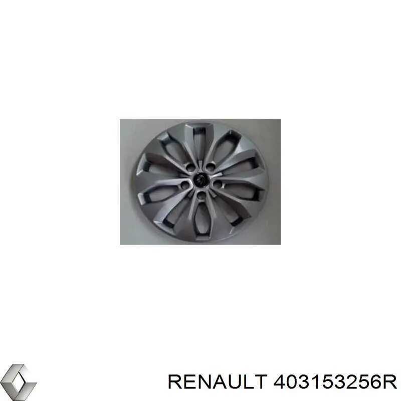 Tapacubo Renault (RVI) 403153256R precio, desde 44,27 EUR