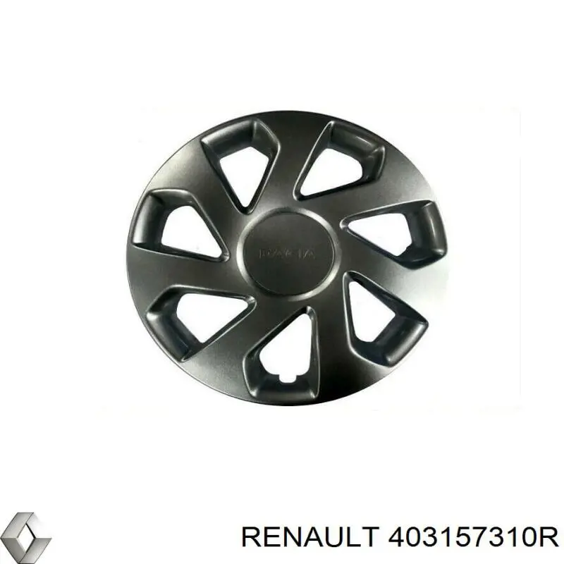 403157310R Renault (RVI)