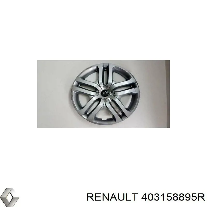 403158895R Renault (RVI) Cubierta de la Llanta