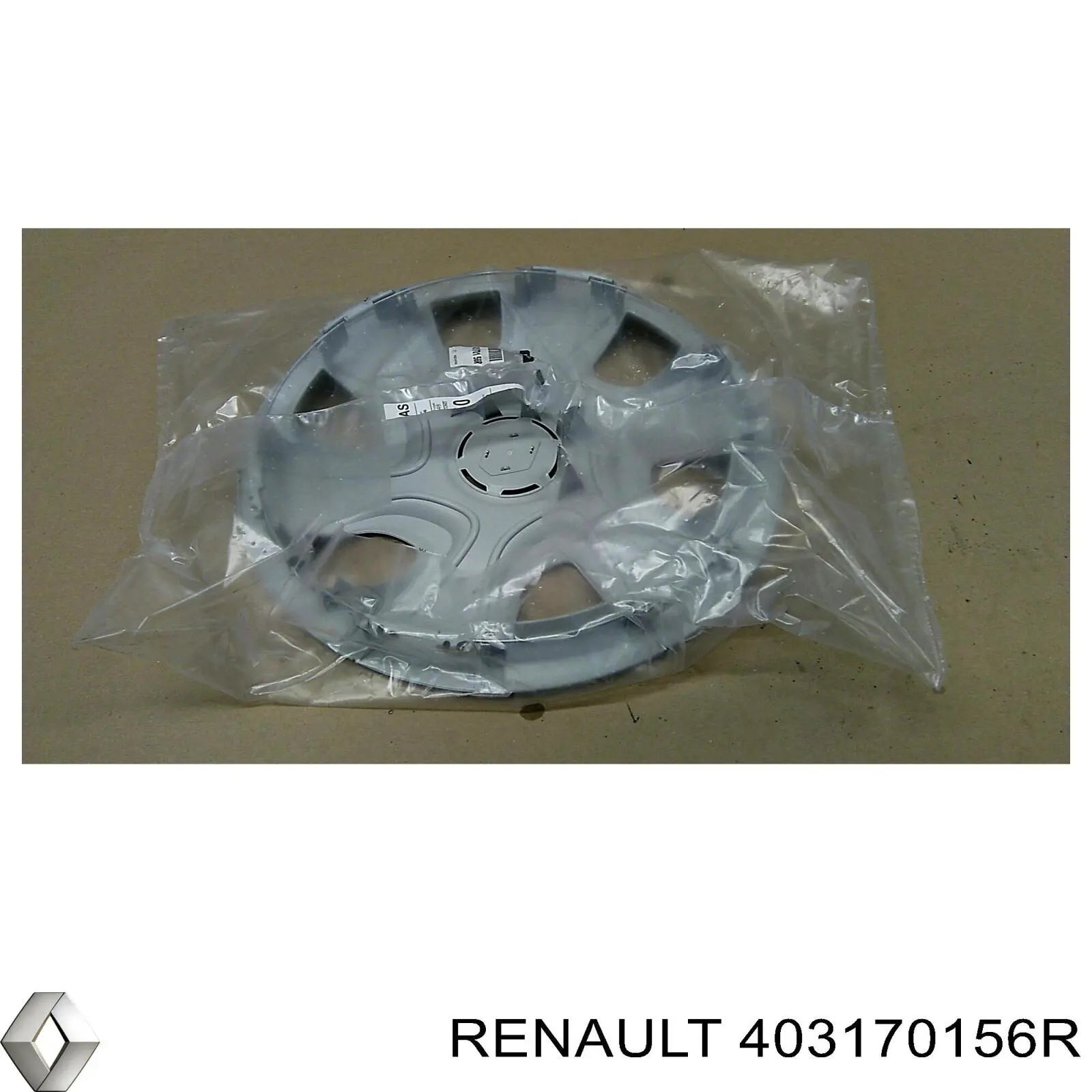 403170156R Renault (RVI)