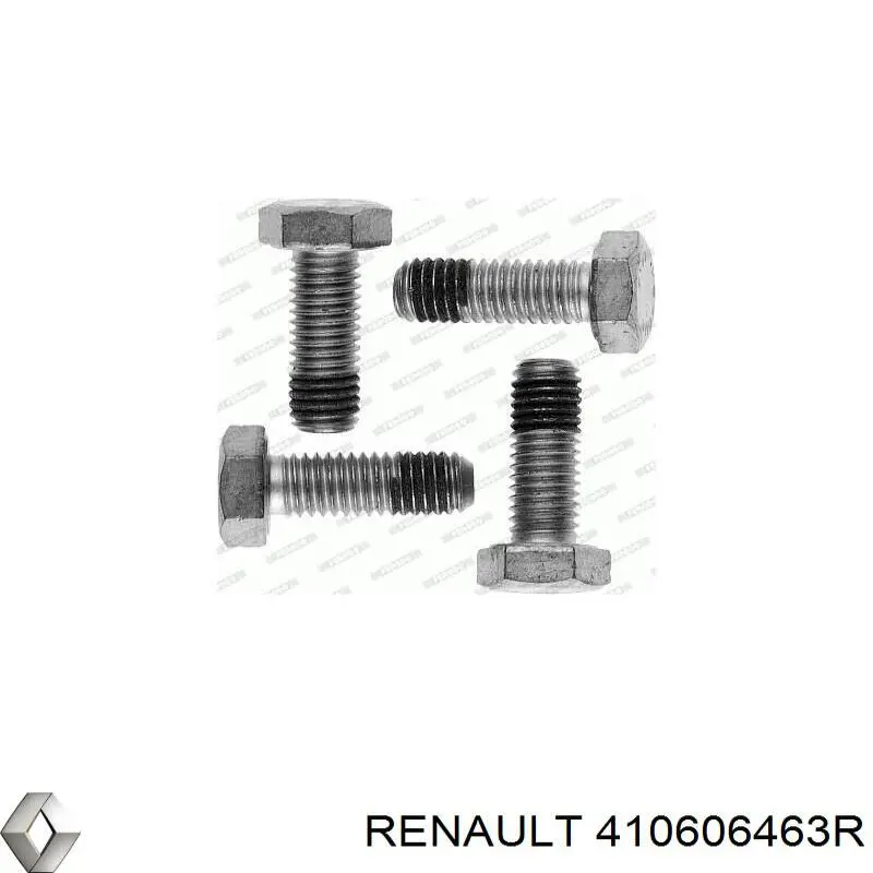 Juego de resortes de sujeción de pastillas de freno delanteras Renault (RVI) 410606463R