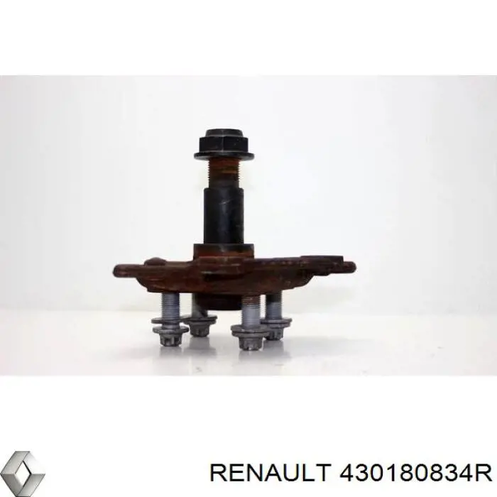 Mangueta trasera derecha Renault (RVI) 430180834R precio, desde 81,31 EUR