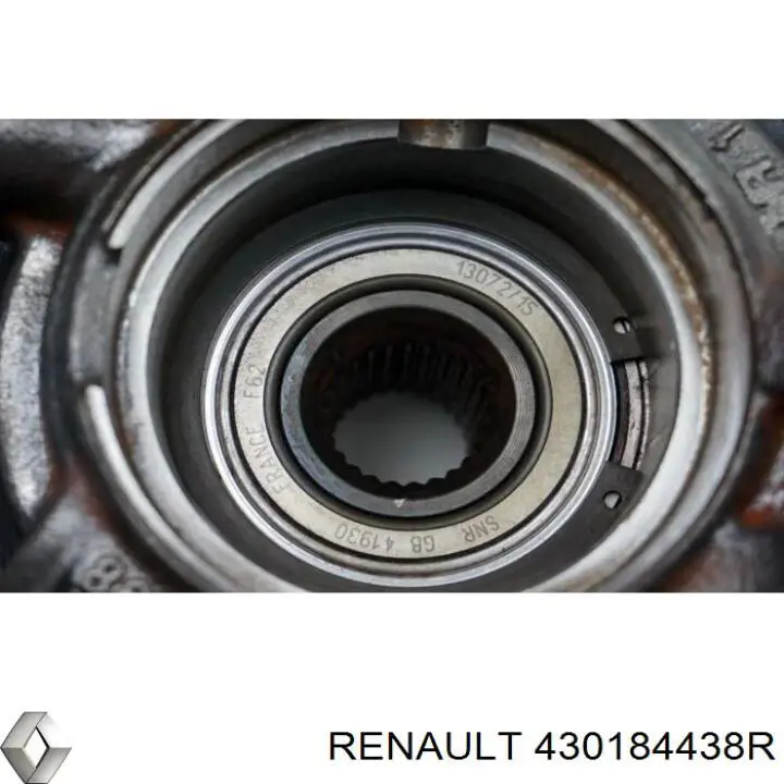 Mangueta trasera derecha Renault (RVI) 430184438R precio, desde 95,83 EUR