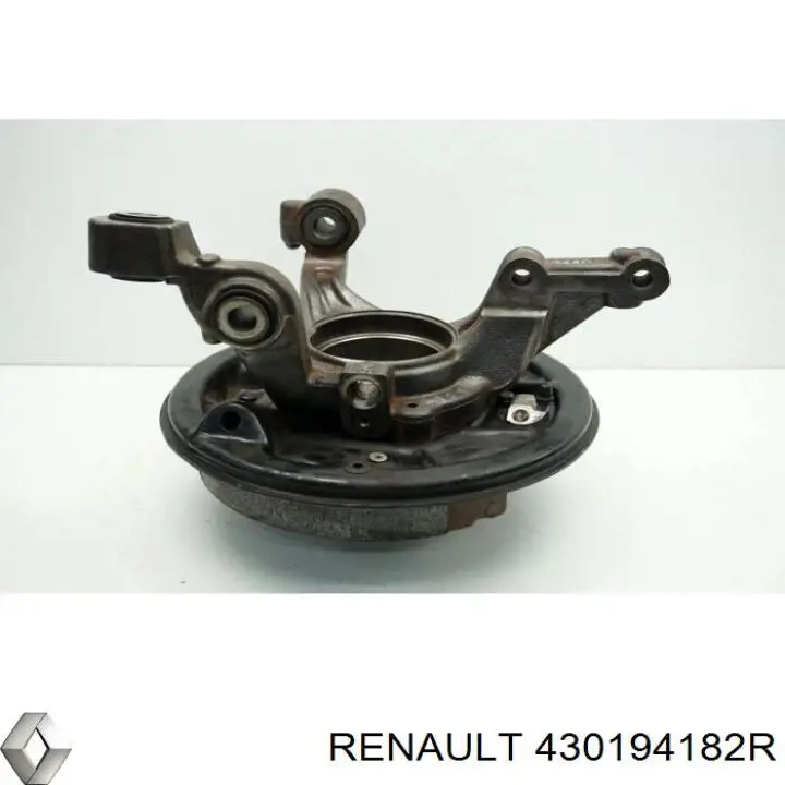 Mangueta trasera izquierda Renault (RVI) 430194182R precio, desde 95,83 EUR