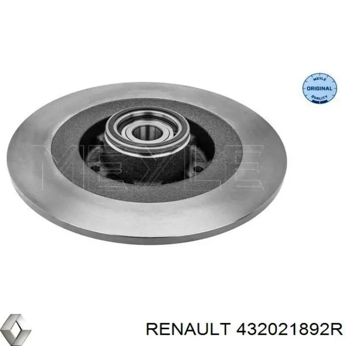 Disco de freno trasero Renault (RVI) 432021892R precio, desde 99,78 EUR