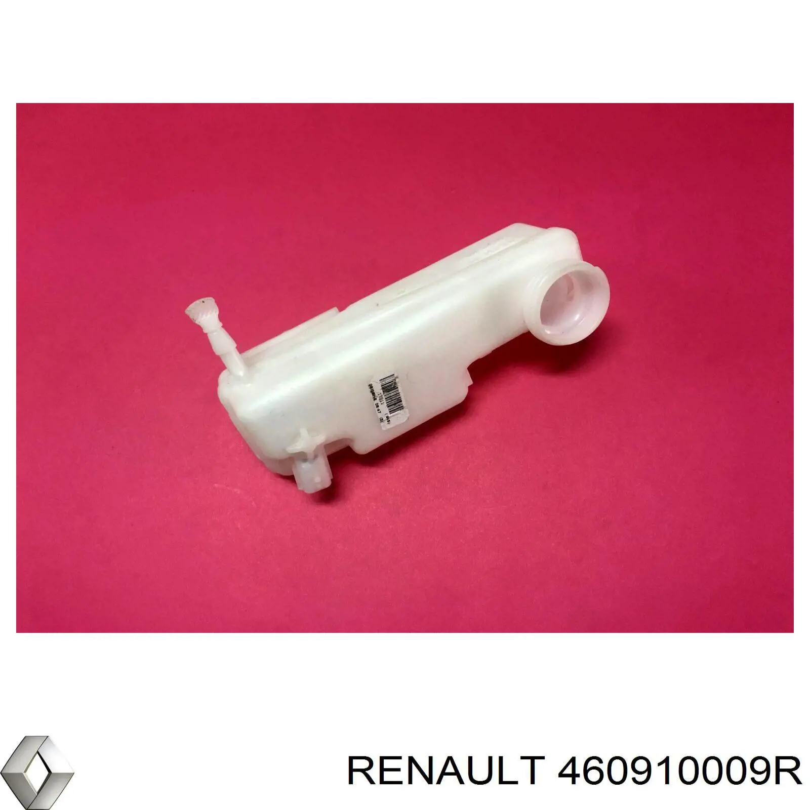 Depósito de líquido de frenos Renault (RVI) 460910009R precio, desde 34,85 EUR
