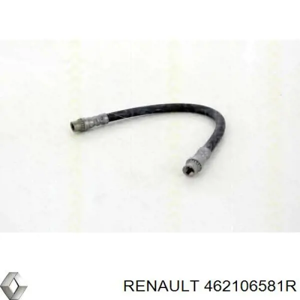 462106581R Renault (RVI)