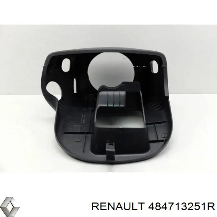 484713251R Renault (RVI)