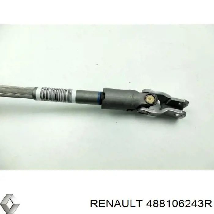 488106243R Renault (RVI)