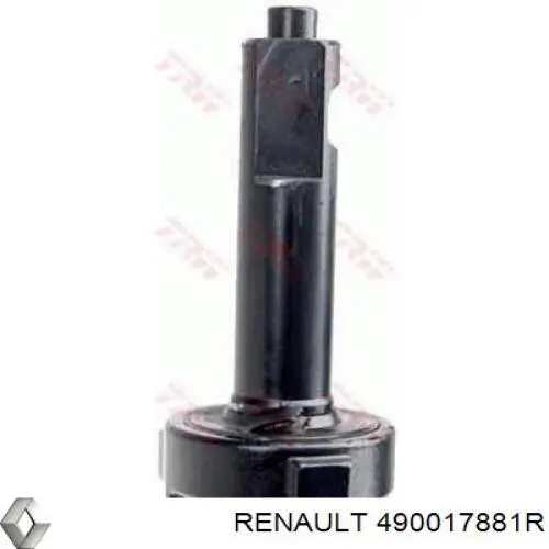 490017881R Renault (RVI)