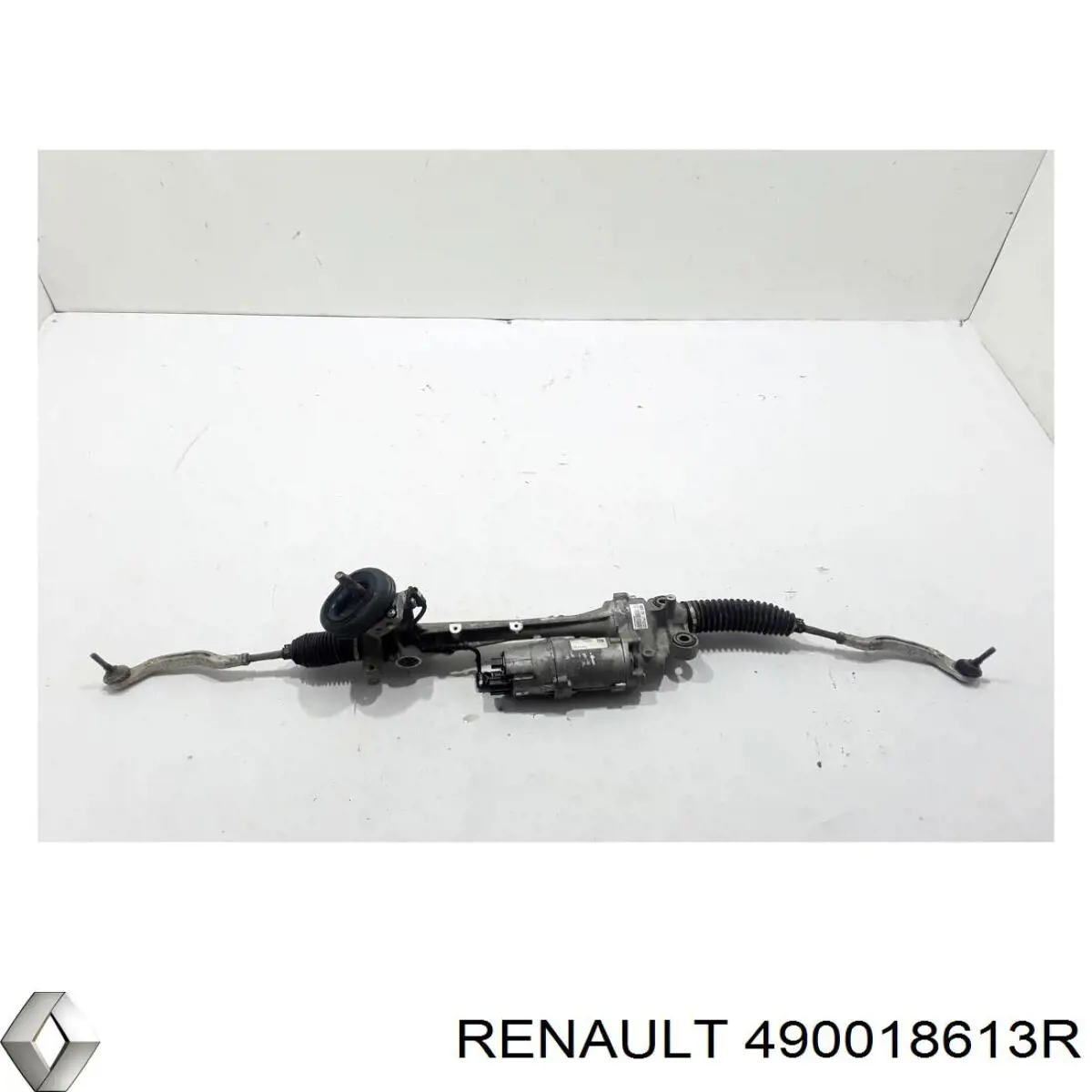 490018613R Renault (RVI)