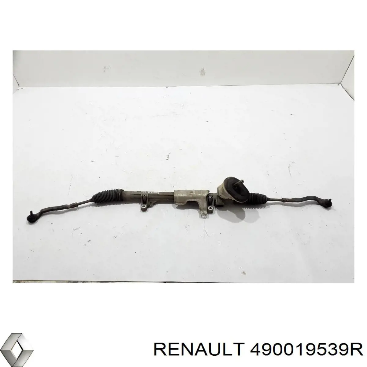 490019539R Renault (RVI)