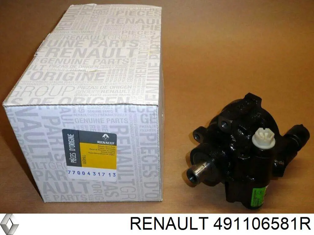 491106581R Renault (RVI)