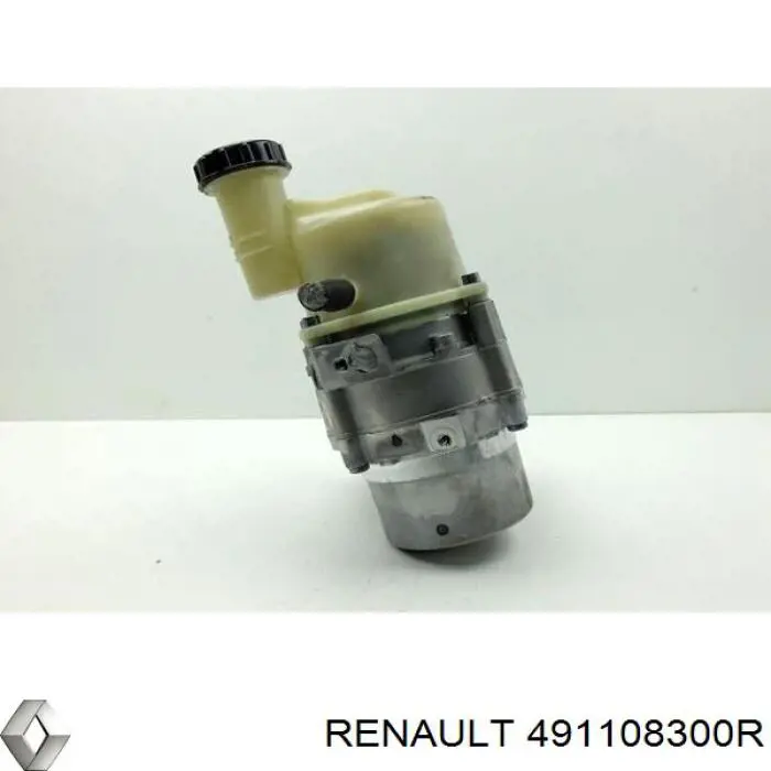Bomba de dirección asistida  Renault (RVI) 491108300R precio, desde 402,20 EUR