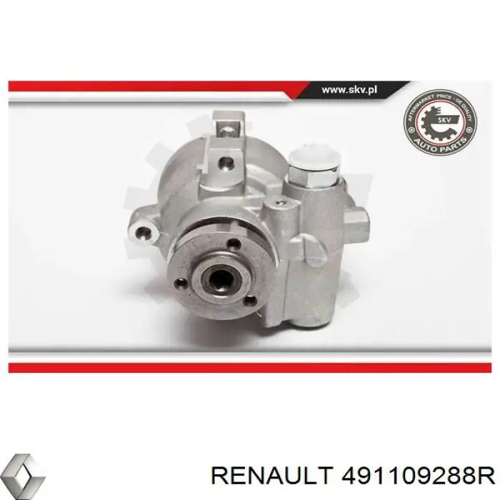 491109288R Renault (RVI)