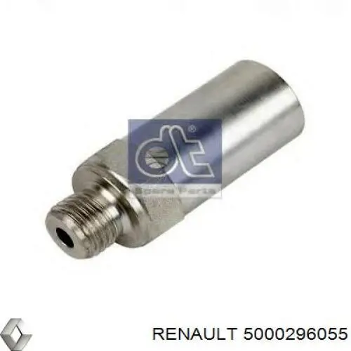 5000296055 Renault (RVI) Válvula de derivación (perno banjo)