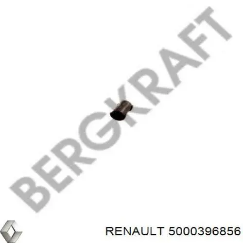 5000396856 Renault (RVI)