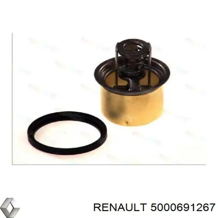 50 00 691 267 Renault (RVI) termostato, refrigerante