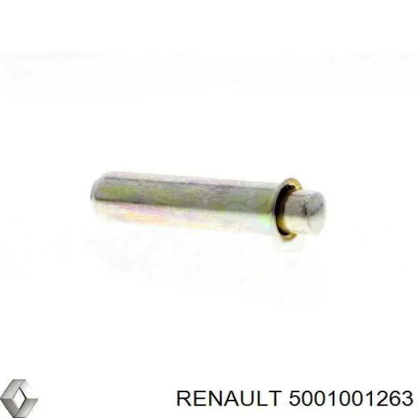 Tensor de la correa de distribución Renault (RVI) 5001001263 precio, desde 24,82 EUR