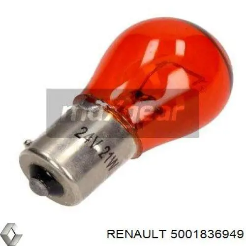Bombilla 5001836949 Renault (RVI)