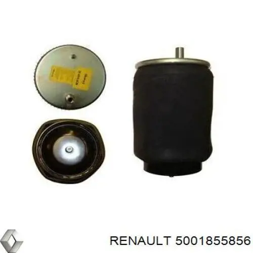 5001855856 Renault (RVI) muelle neumático, suspensión, eje trasero