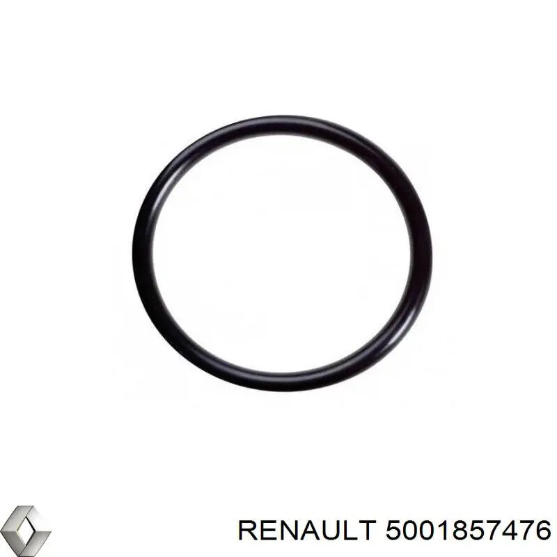 5001857476 Renault (RVI)