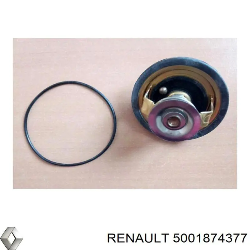 443931 Peugeot/Citroen Kit de reparación de pinzas